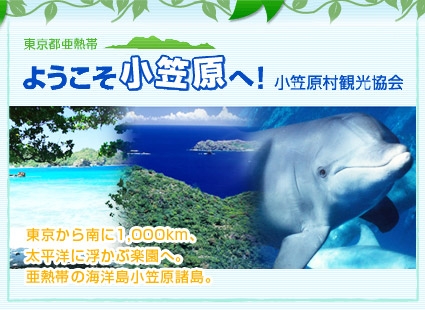 ようこそ小笠原へ!画像
